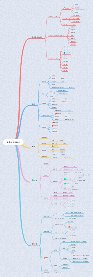 医学-健康评估体格检查
