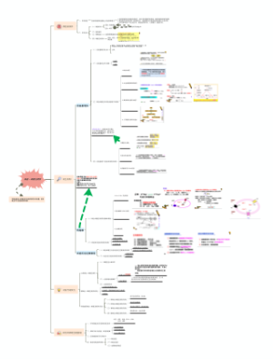 缺血-再灌注损伤
