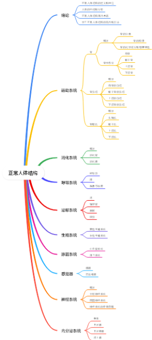 正常人体结构