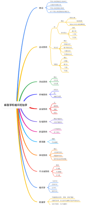 正常人体结构