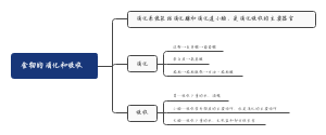 生物思维导图食物消化和吸收