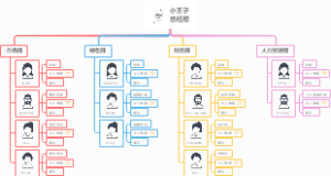 公司架构