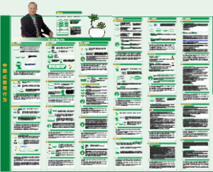 中国式管理行为