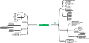 学前儿童的个性发展