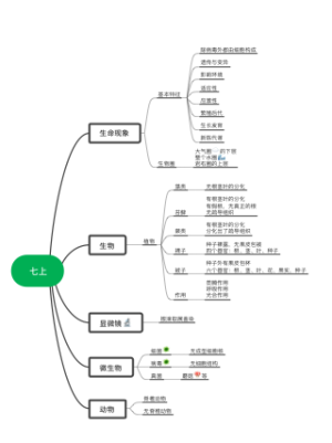 七上生物