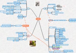 初中化学部分知识整理