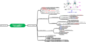 第三节 MHC及其编码分子