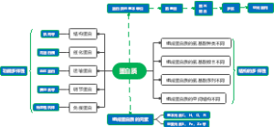 蛋白质