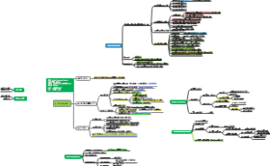 SLZ 主岛 36条主干与骨干状态0520