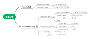 音素分类