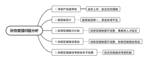 财务管理问题分析