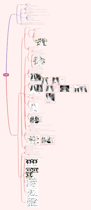 呼吸系统1