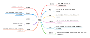 医院科室分布