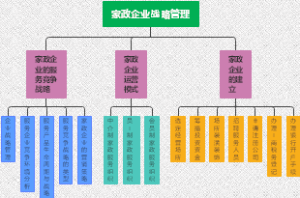 家政企业战略管理