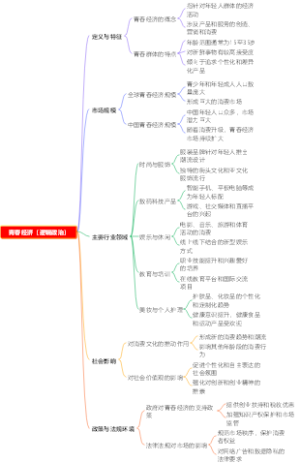 青春经济（逻辑政治）
