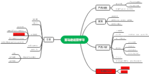 亚马逊运营学习