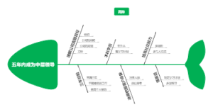 五年内成为中层领导