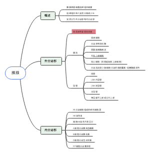 胰腺
