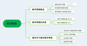 教学策略
