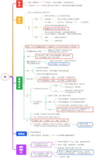 八年级下册科学第四章植物与土壤--叶