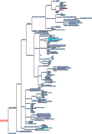 一级造价师计价第一章我国现行建设项目总投资部分