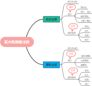肌内和静脉注射