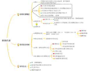新陈代谢