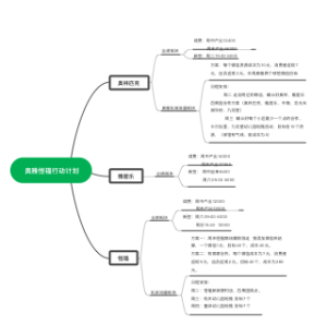 奥雅恒福行动计划