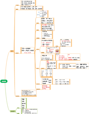 泌尿系统