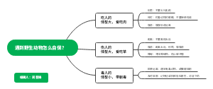 遇到野生动物怎么自保？