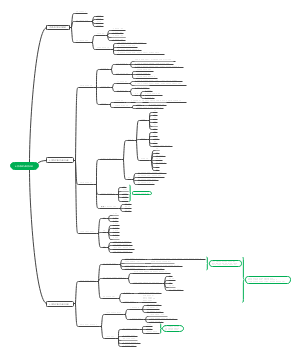 课程与教学论第三章思维导图