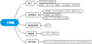 大熊猫基础简介