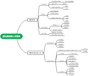 团队建设和人才培养