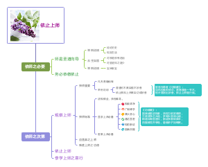 依师