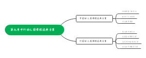 第九章中外幼儿园课程经典方案