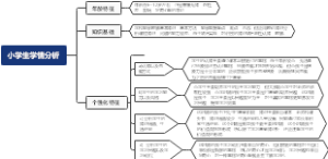 小学生学情分析