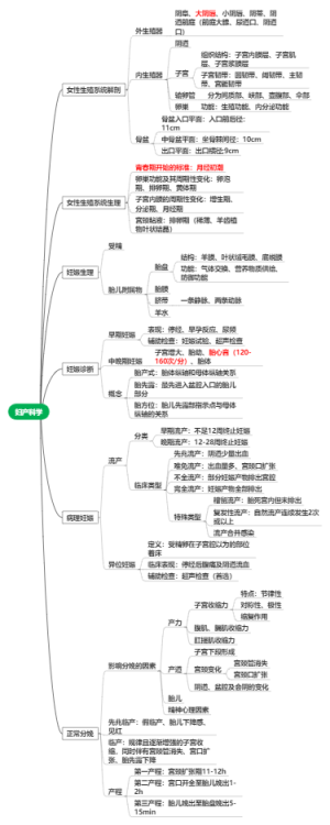 妇产科学