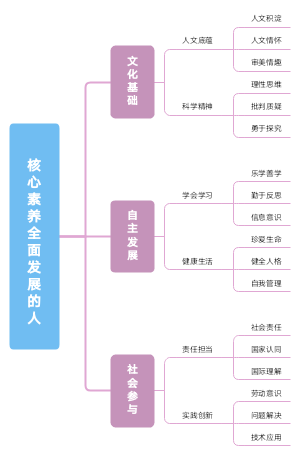 核心素养全面发展的人
