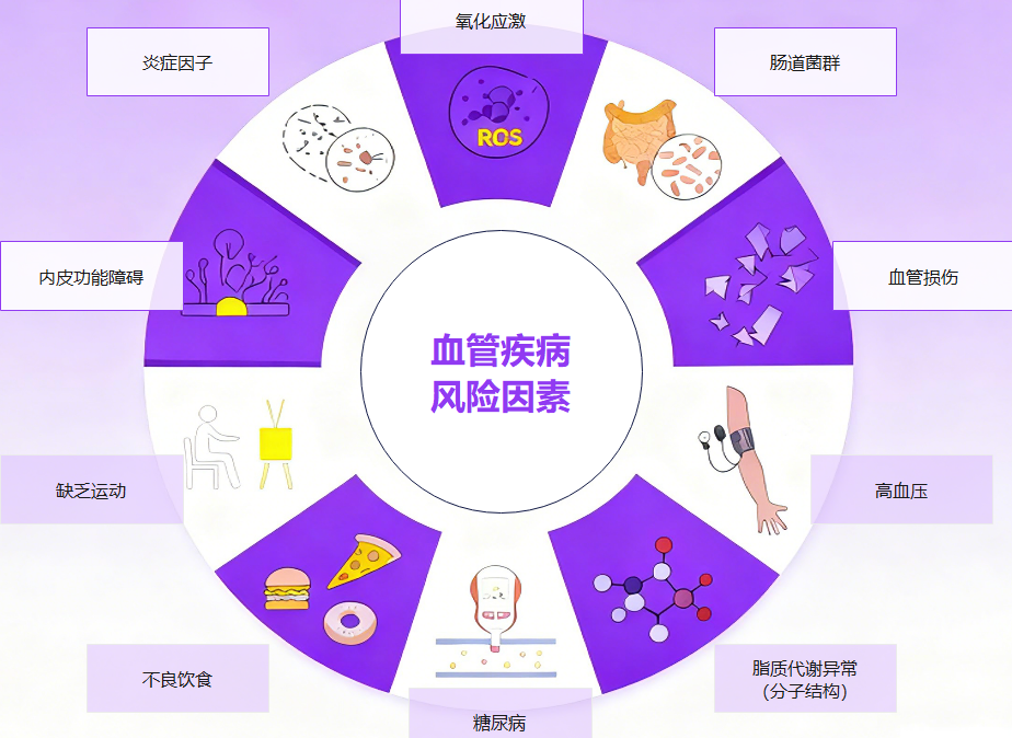 血管疾病风险因素图