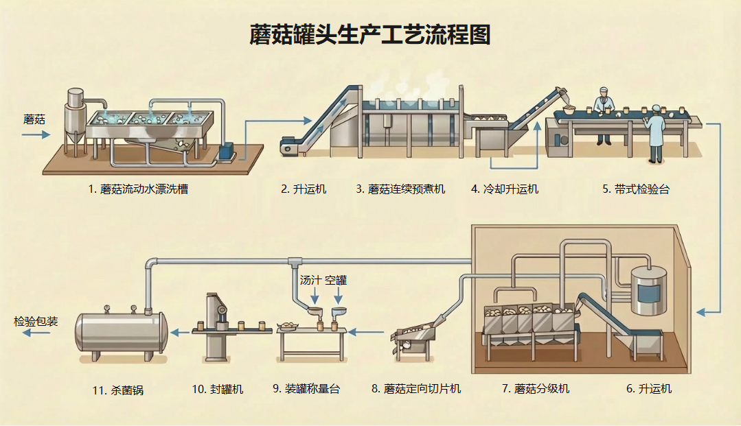 蘑菇罐头生产工艺流程图