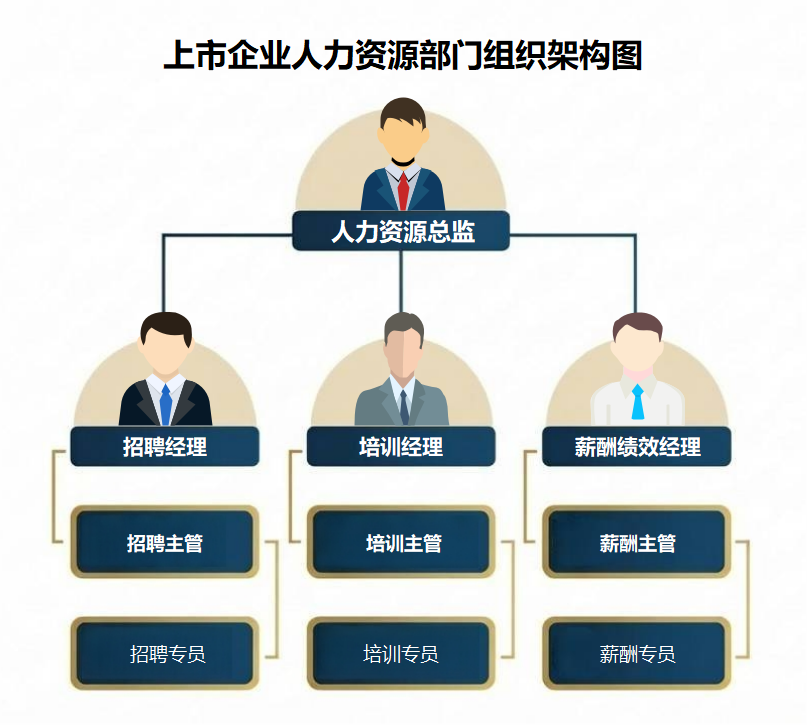 上市企业人力部门组织架构图