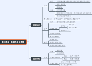 物质构成的奥秘