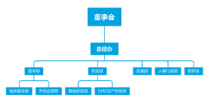 组织架构