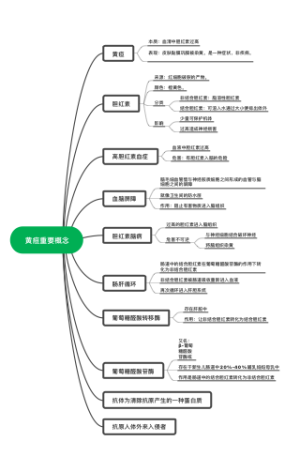 黄疸重要概念