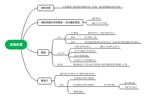 3细胞质膜