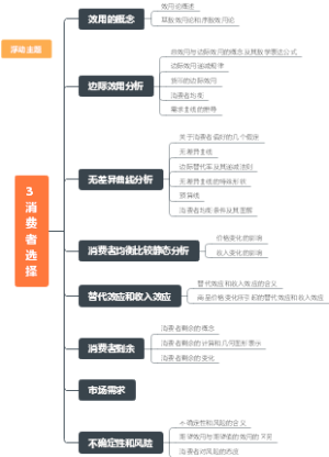 3消费者选择