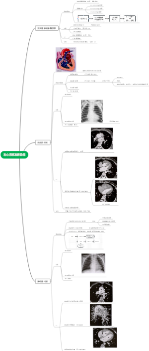 右心系统发育异常思维导图