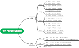 中医内科技能没有的病