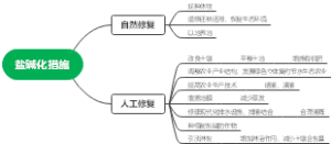 盐碱化措施