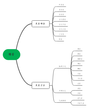 辅音﻿